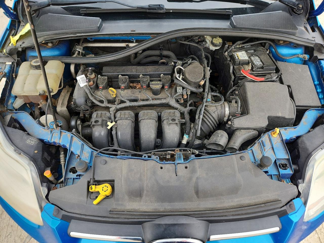 2014 Ford Focus Se Blue vin: 1FADP3F22EL201353