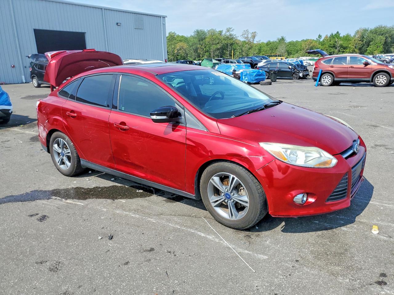 2014 Ford Focus Se Red vin: 1FADP3F22EL203944
