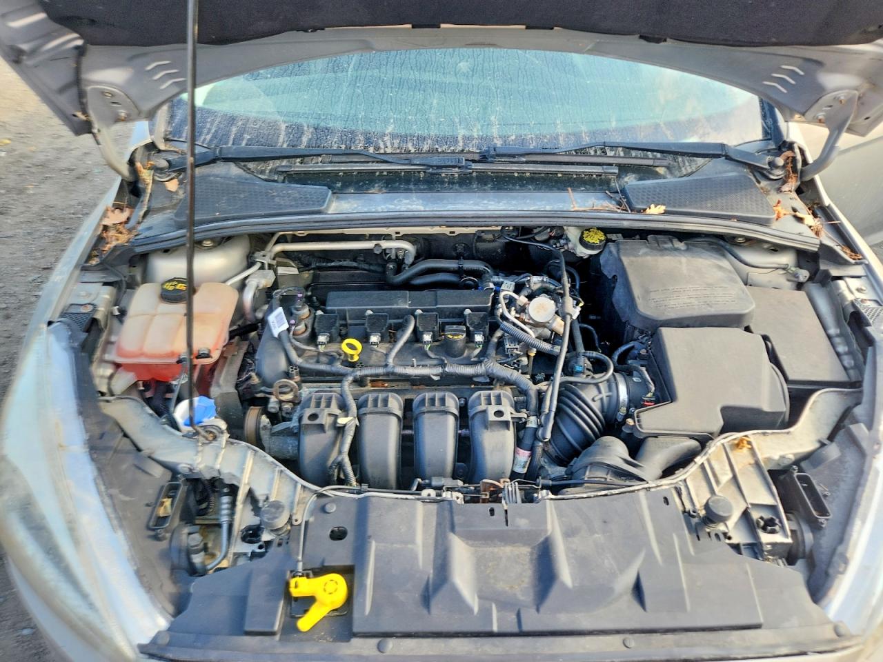 2016 Ford Focus Se Gold vin: 1FADP3F22GL370906