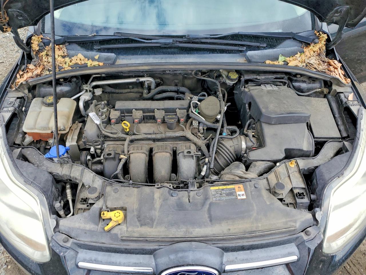 2014 Ford Focus Se Черный vin: 1FADP3F23EL112102