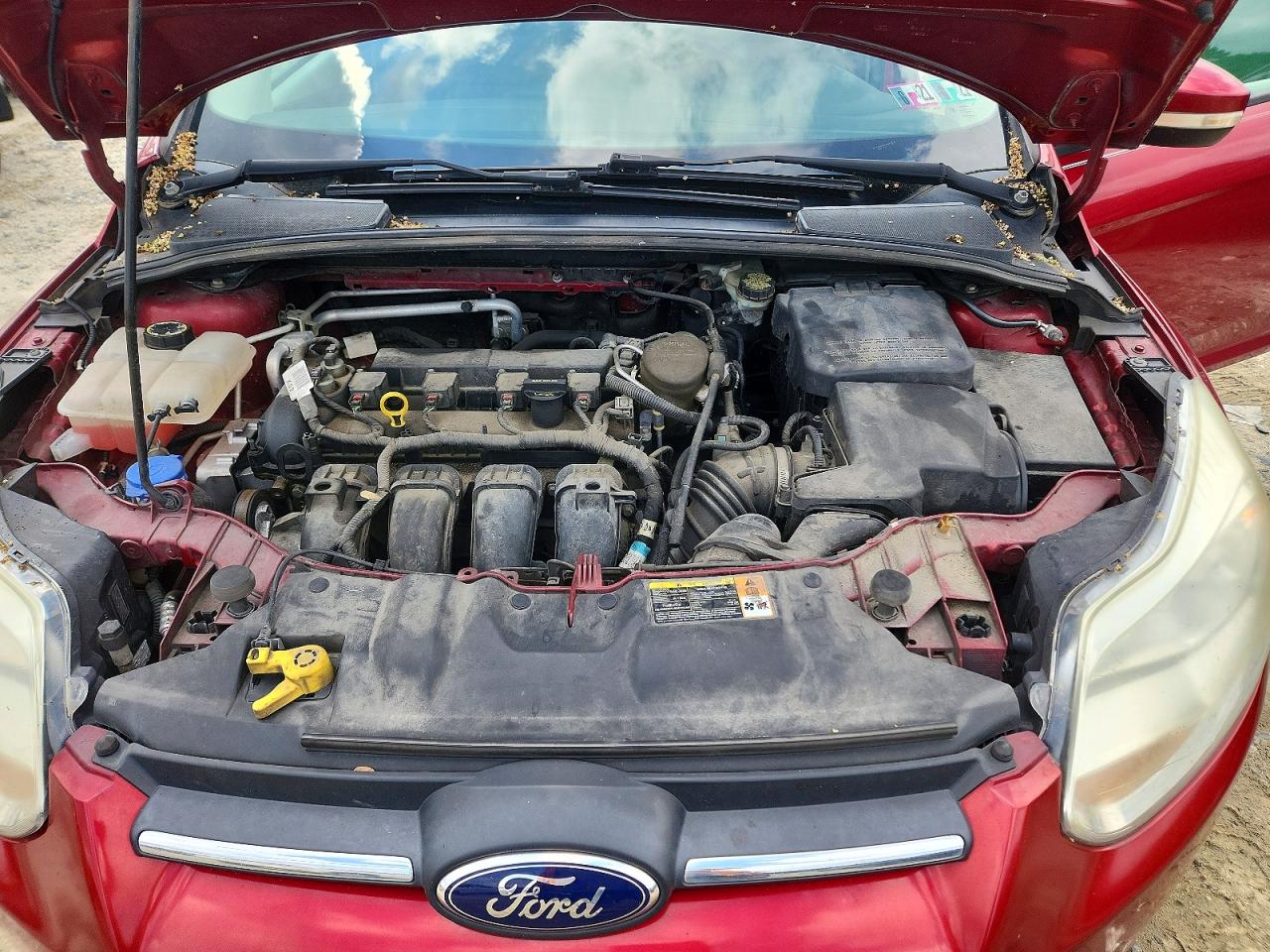 2014 Ford Focus Se Red vin: 1FADP3F23EL189245