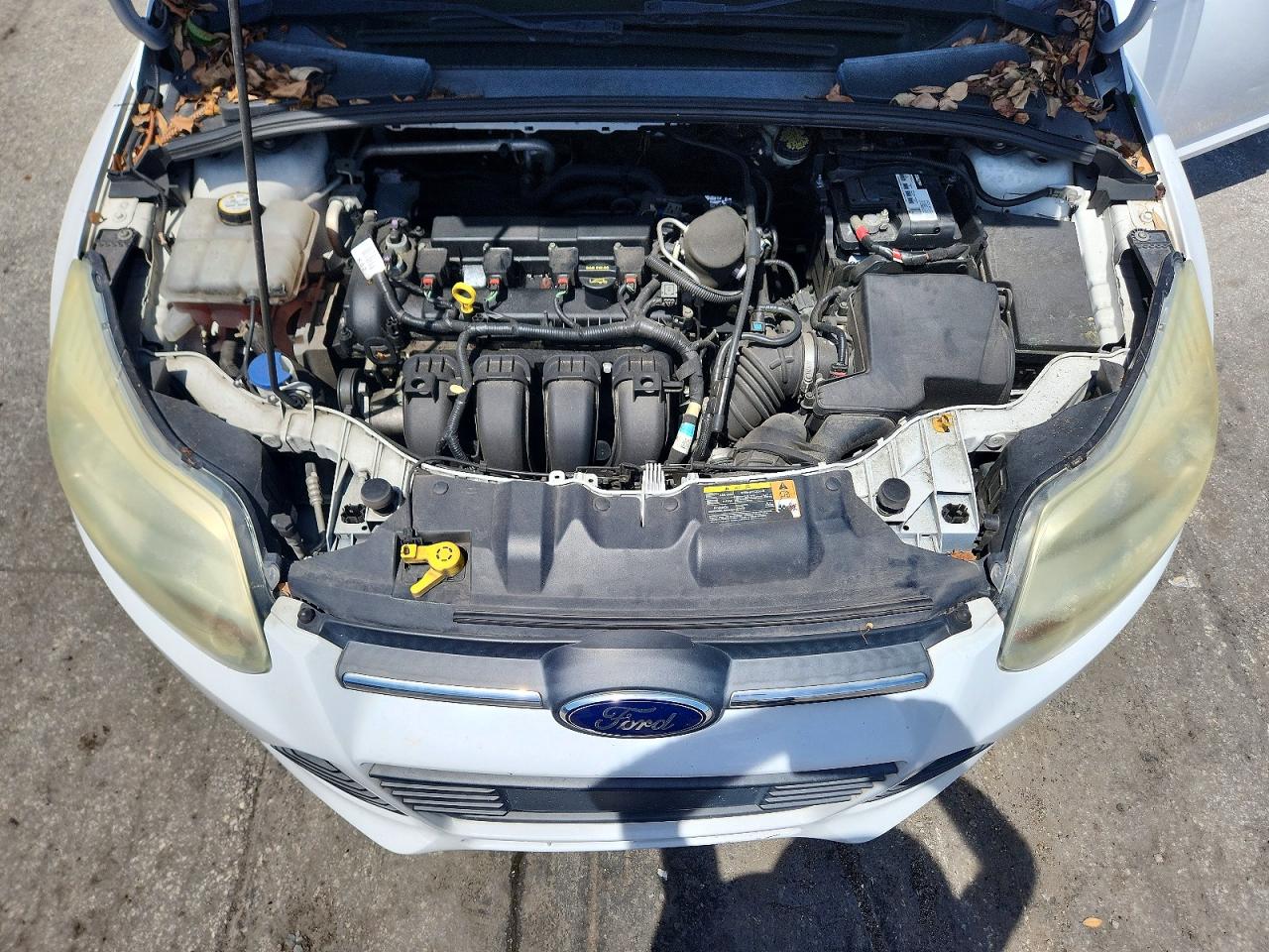 2014 Ford Focus Se White vin: 1FADP3F23EL227198