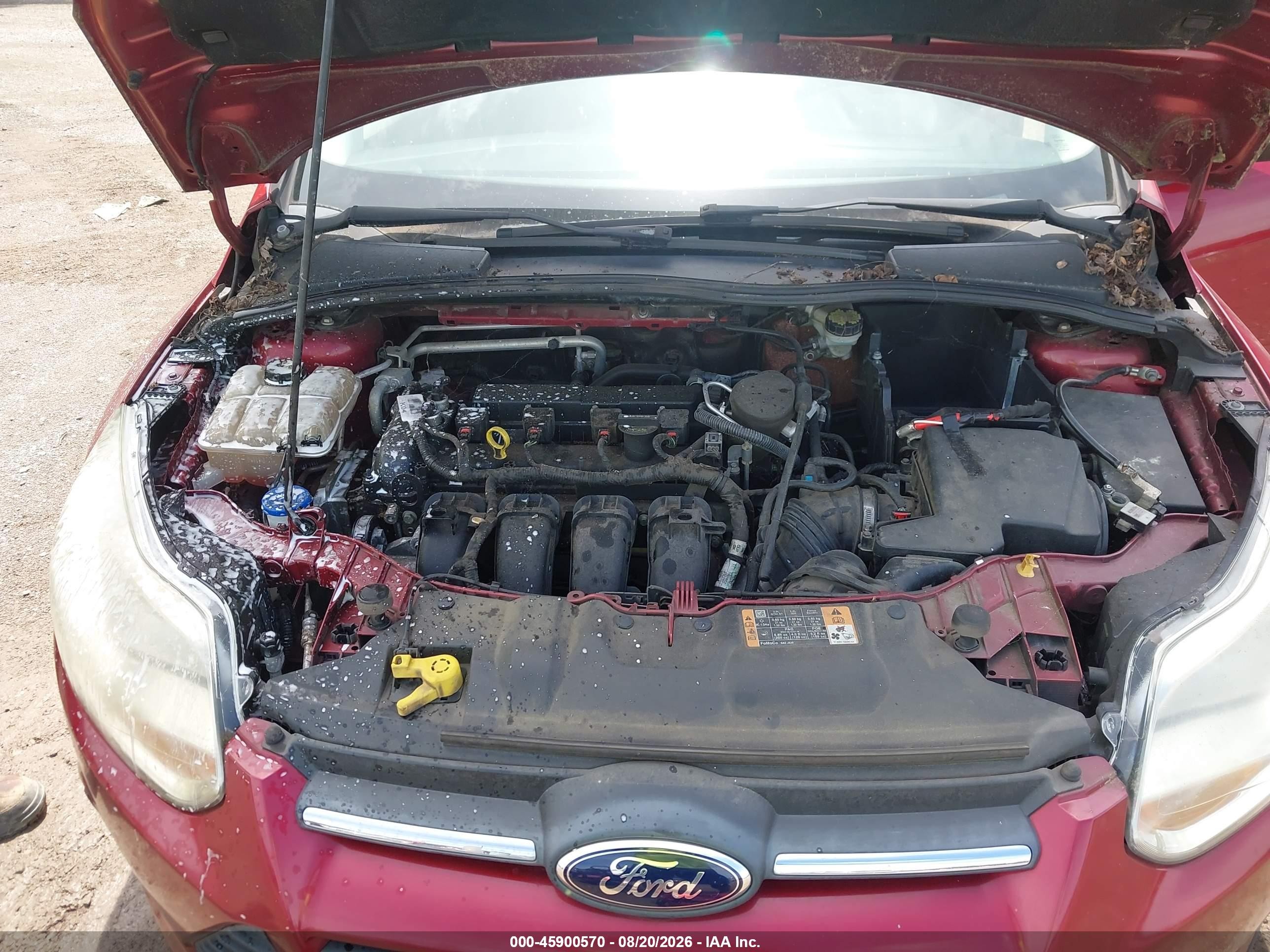 2014 Ford Focus Se Red vin: 1FADP3F23EL286266