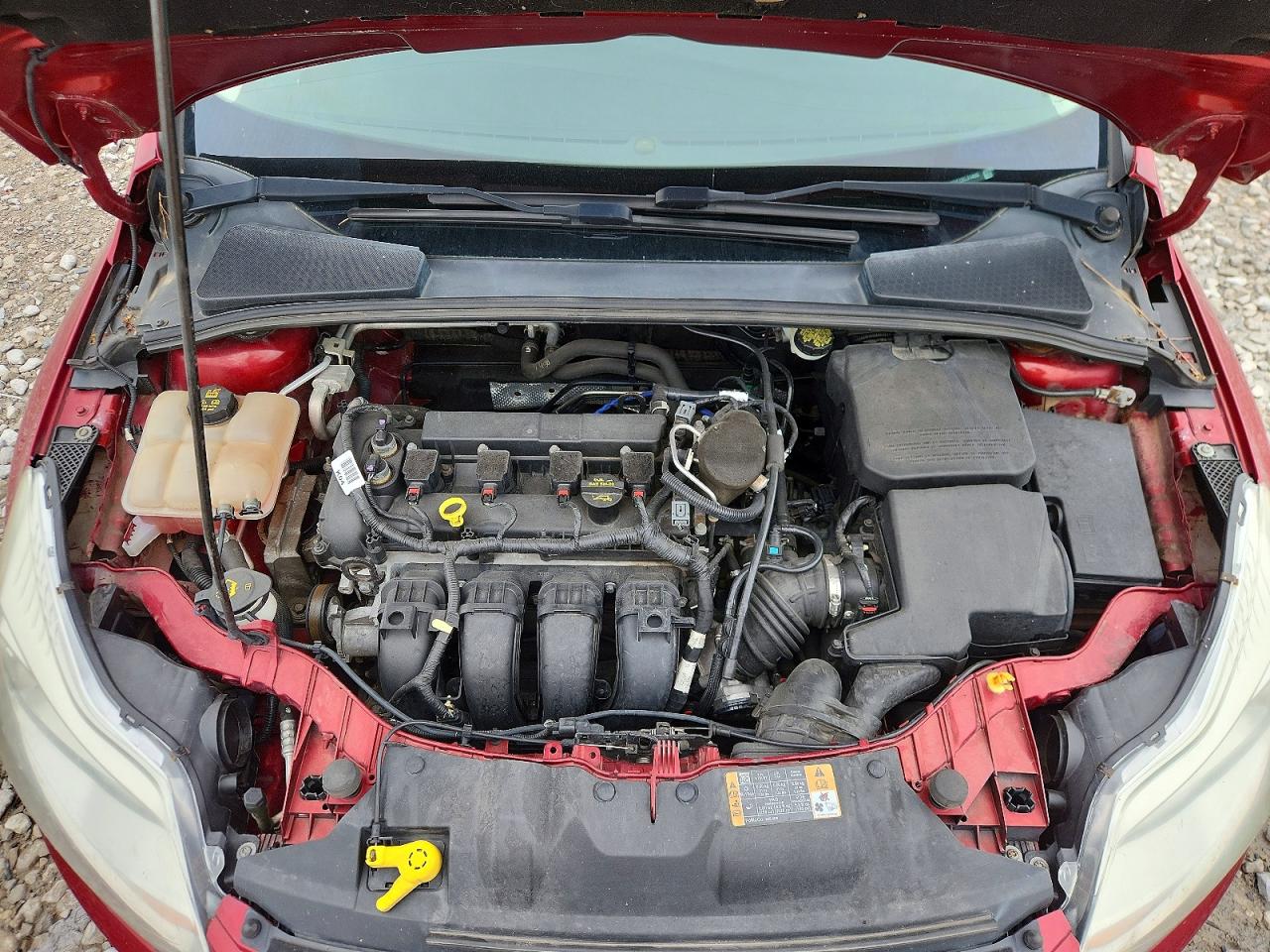 2014 Ford Focus Se Красный vin: 1FADP3F23EL314602