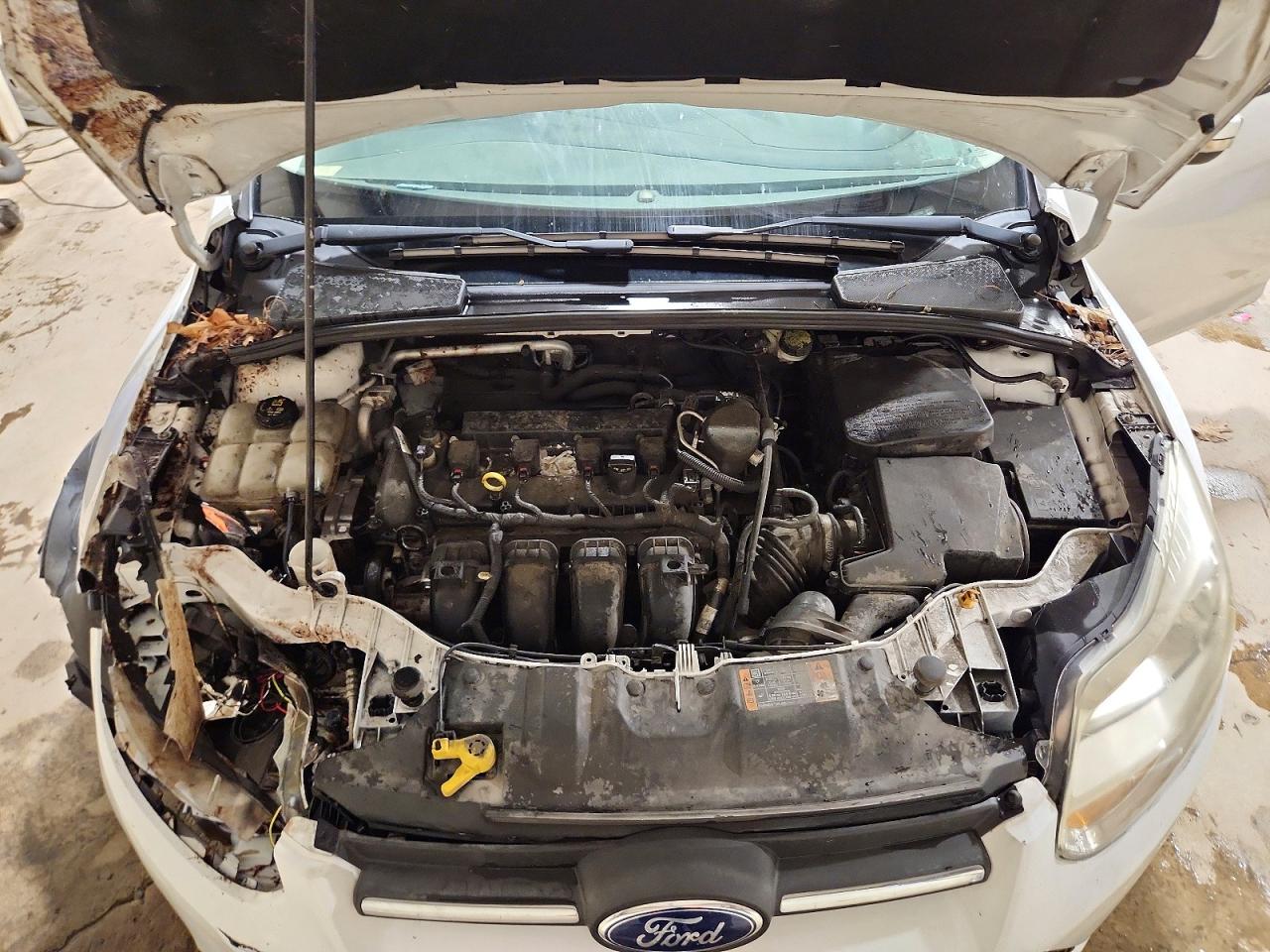 2014 Ford Focus Se Белый vin: 1FADP3F23EL395732