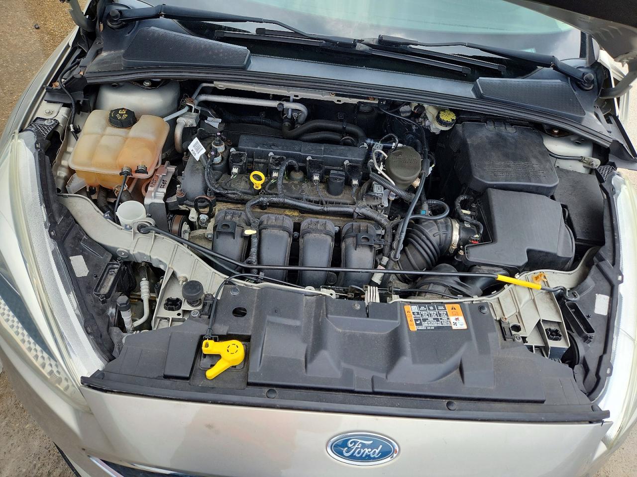 2016 Ford Focus Se Бежевый vin: 1FADP3F23GL261533