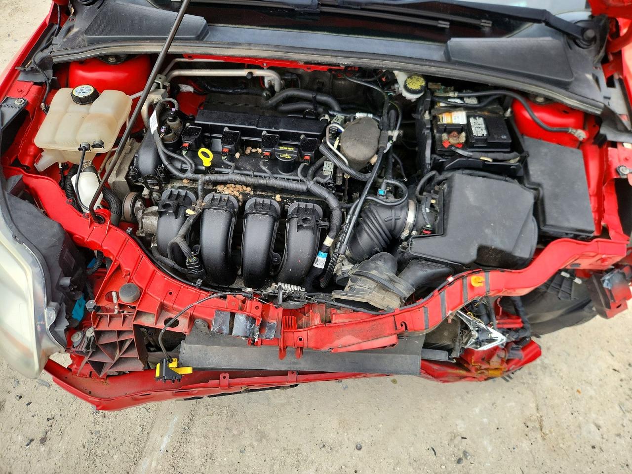 2013 Ford Focus Se Red vin: 1FADP3F24DL132843