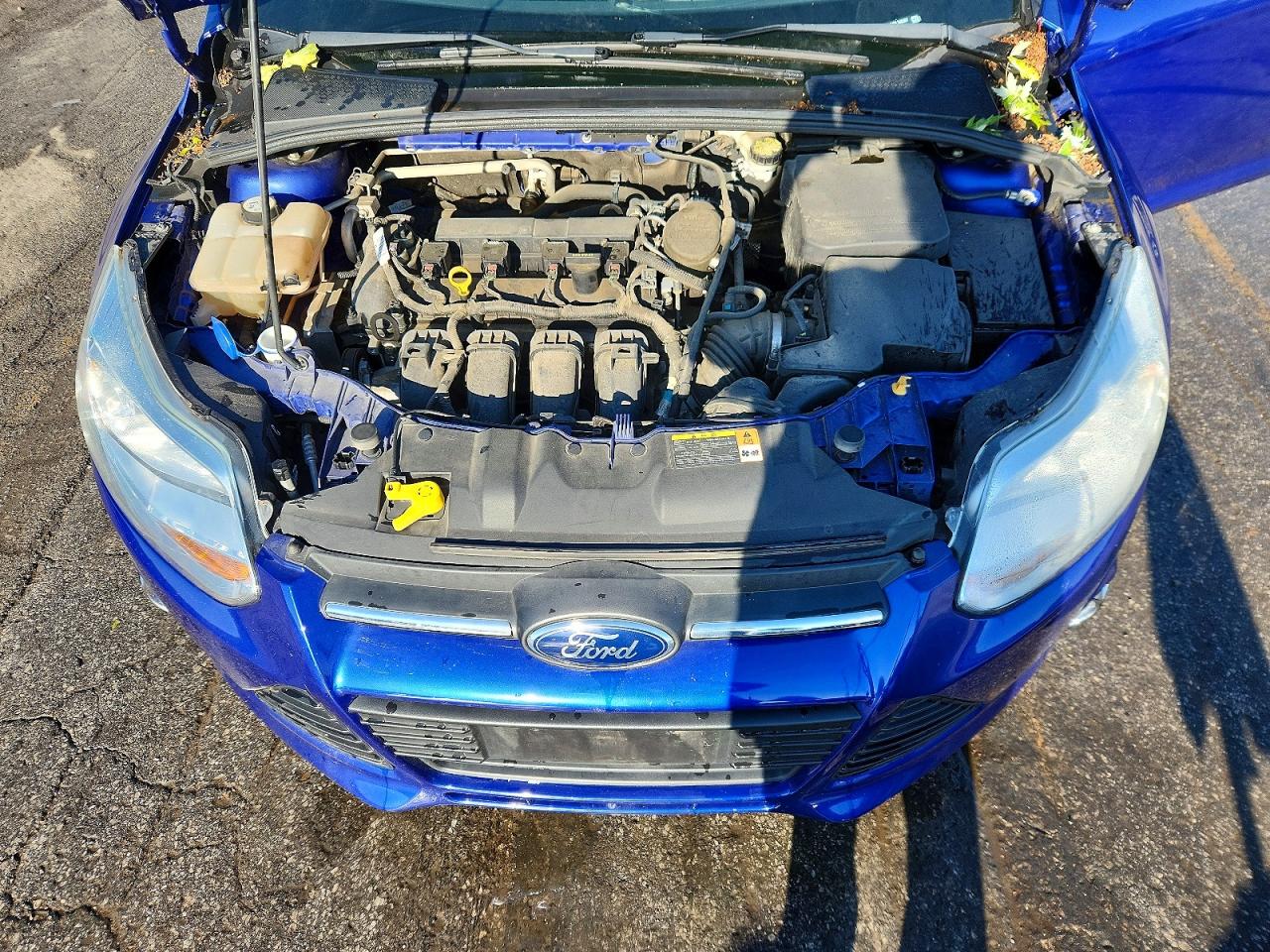 2013 Ford Focus Se Blue vin: 1FADP3F24DL345307