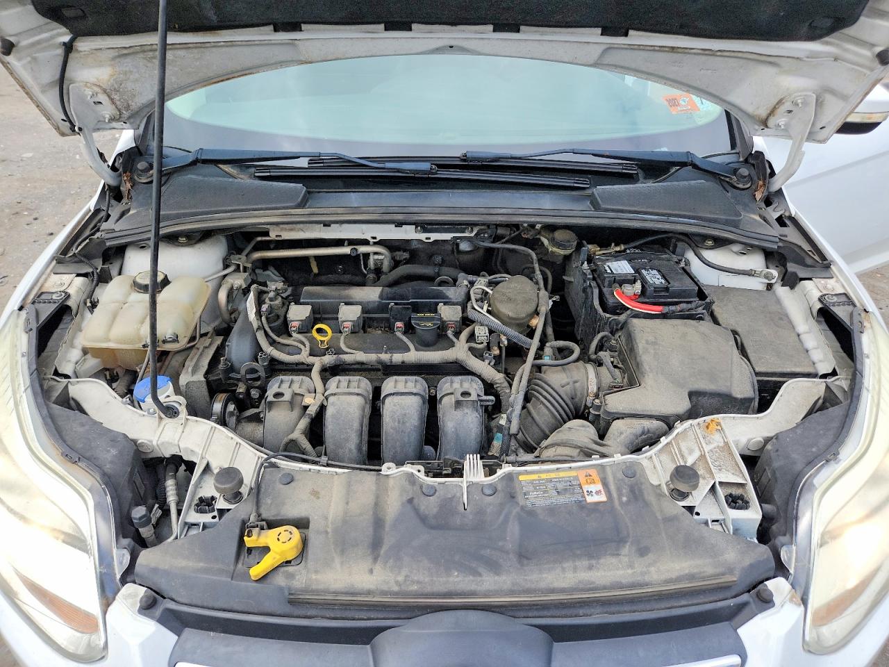 2013 Ford Focus Se Белый vin: 1FADP3F24DL349955