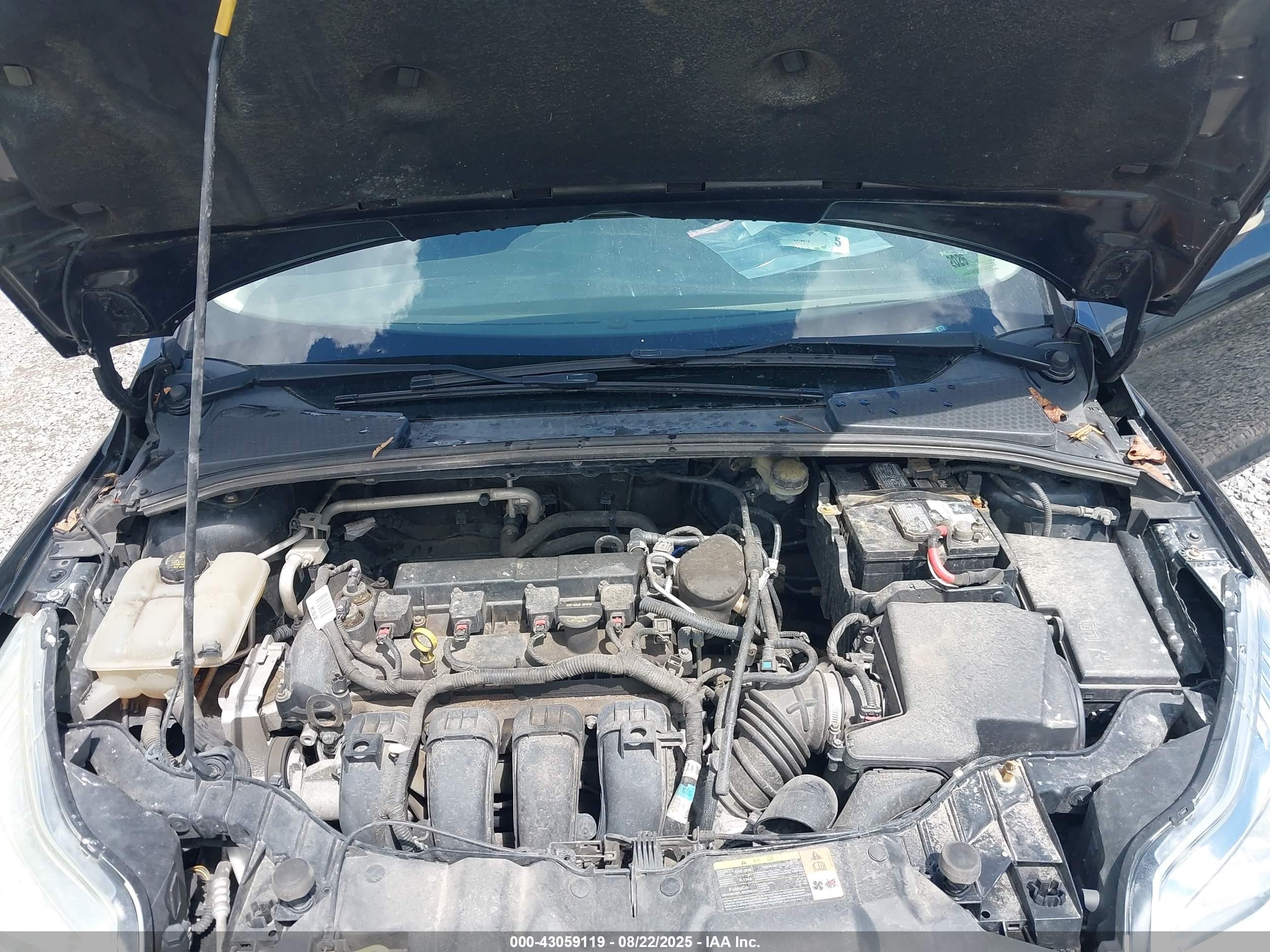 2014 Ford Focus Se Черный vin: 1FADP3F24EL216582