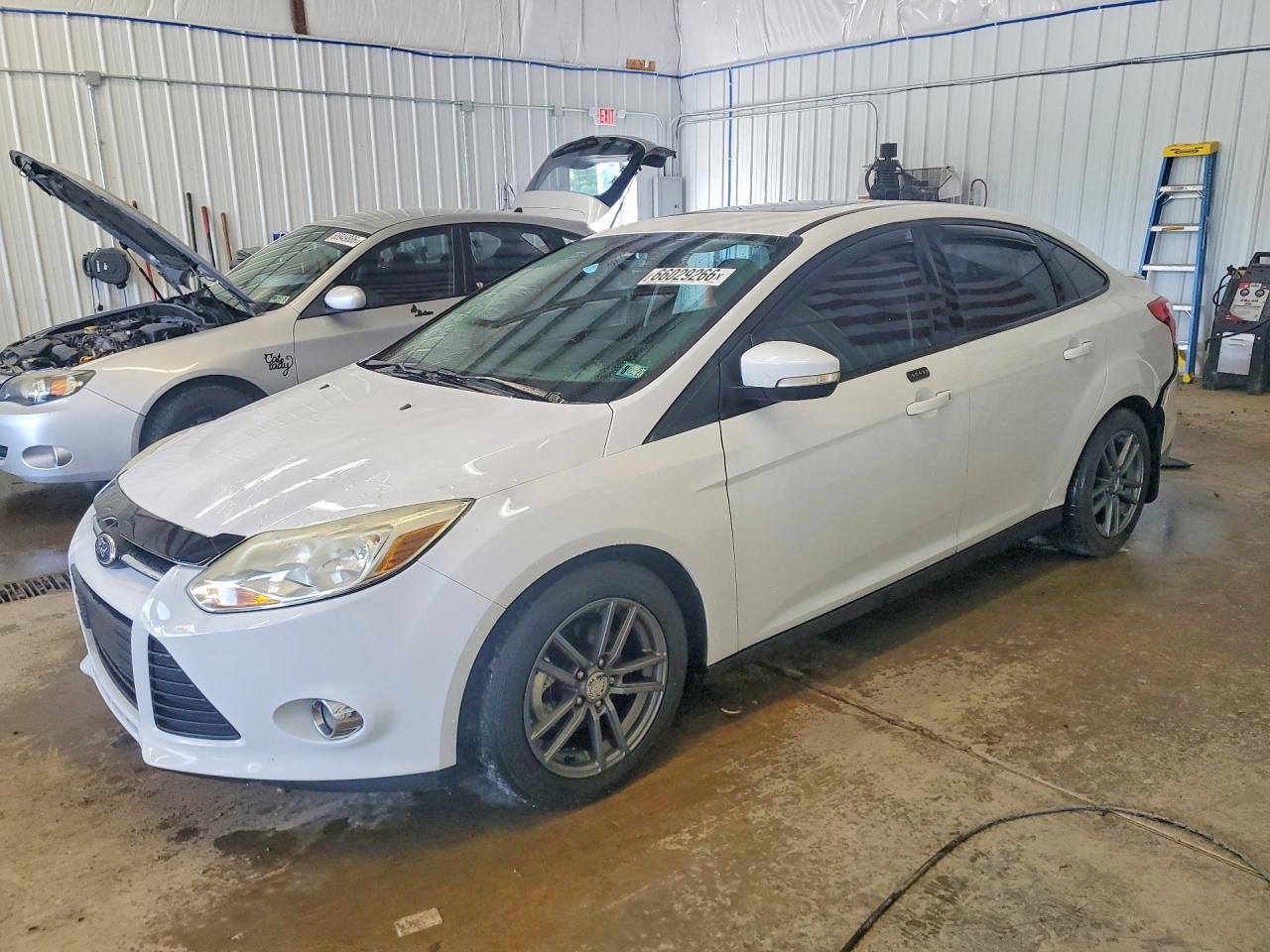 2014 Ford Focus Se White vin: 1FADP3F24EL292688