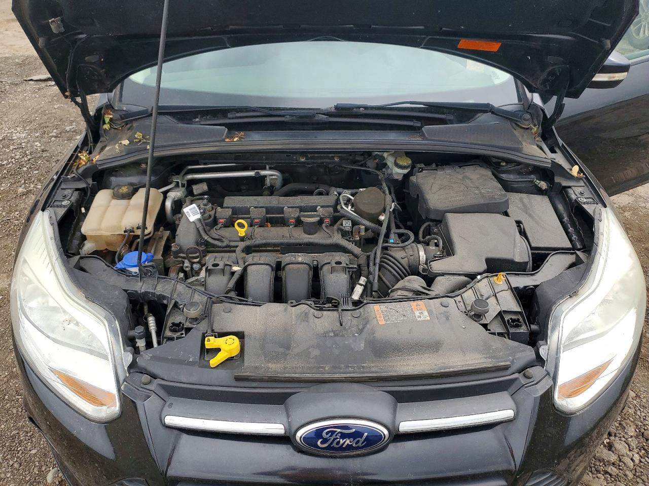2014 Ford Focus Se Black vin: 1FADP3F24EL380432