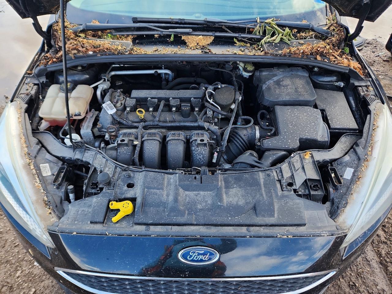 2015 Ford Focus Se Black vin: 1FADP3F24FL233996