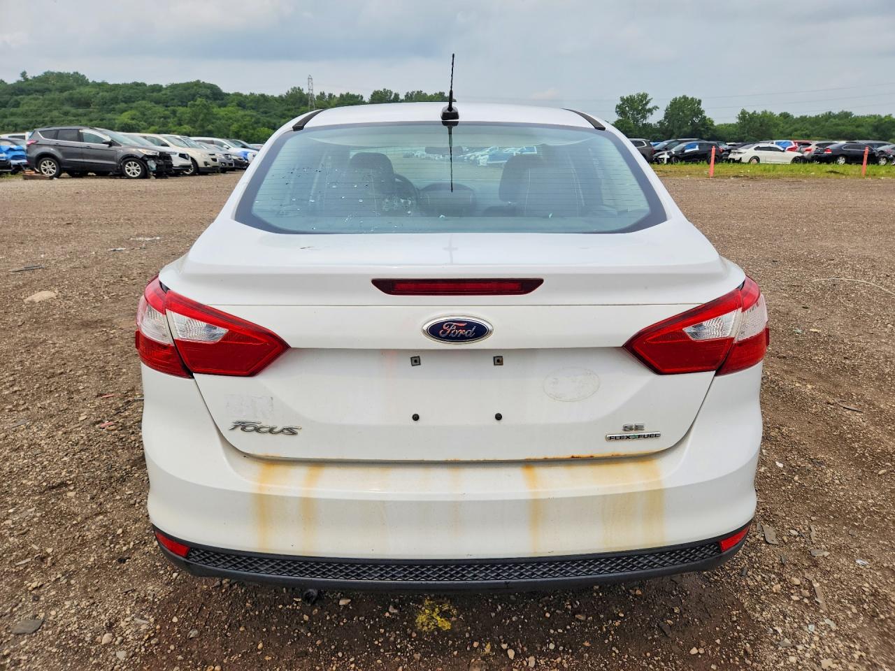 2014 Ford Focus Se Белый vin: 1FADP3F25EL157395