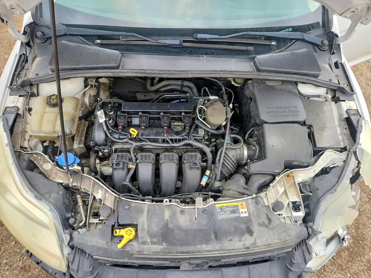 2014 Ford Focus Se Белый vin: 1FADP3F25EL157395