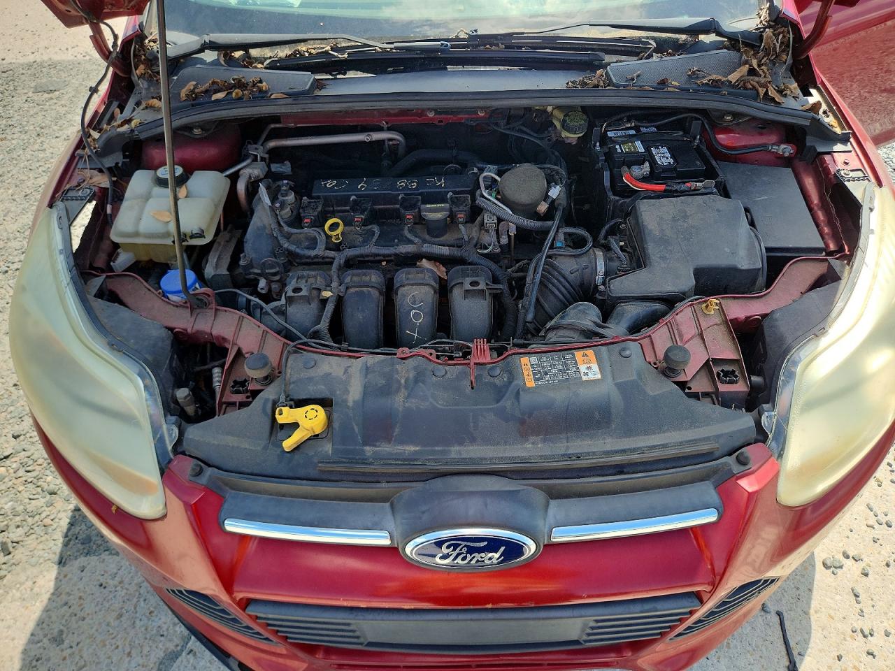 2014 Ford Focus Se Red vin: 1FADP3F25EL320403