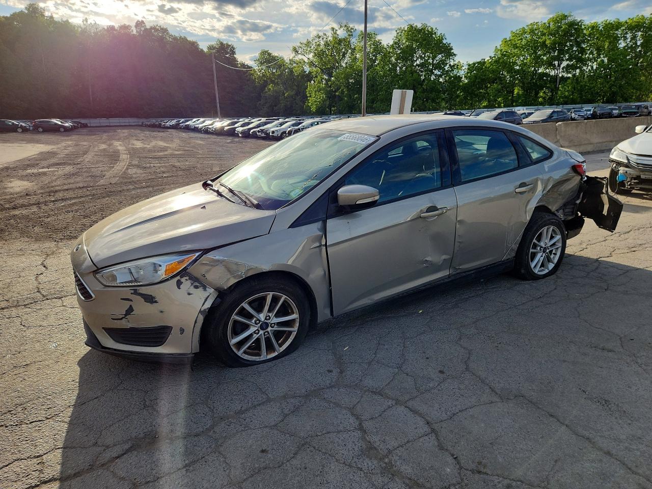 2015 Ford Focus Se Tan vin: 1FADP3F25FL228466