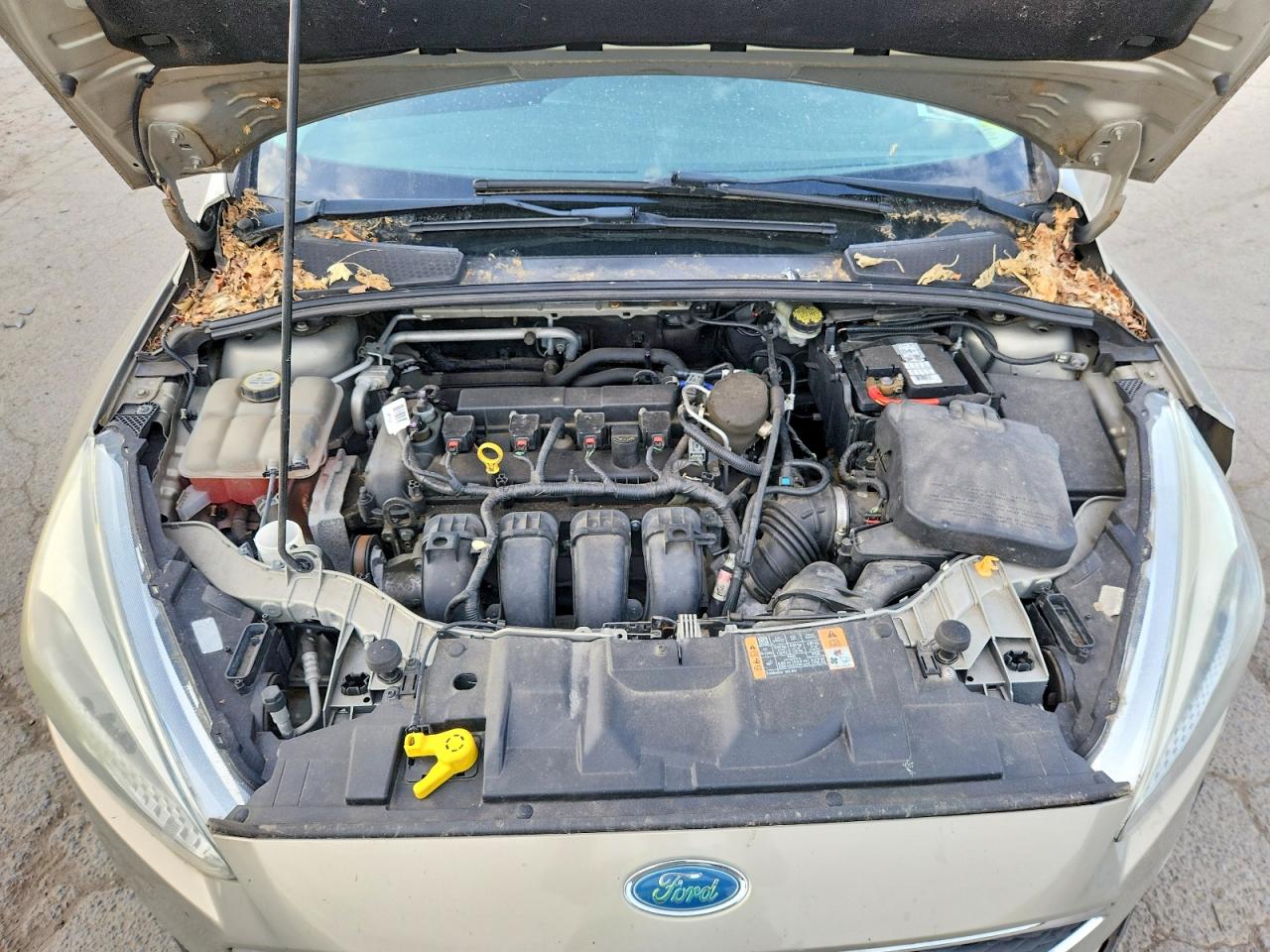 2015 Ford Focus Se Tan vin: 1FADP3F25FL228466