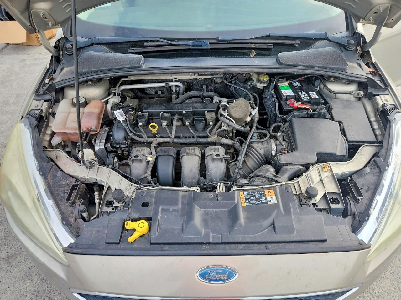 2015 Ford Focus Se Beige vin: 1FADP3F25FL230444