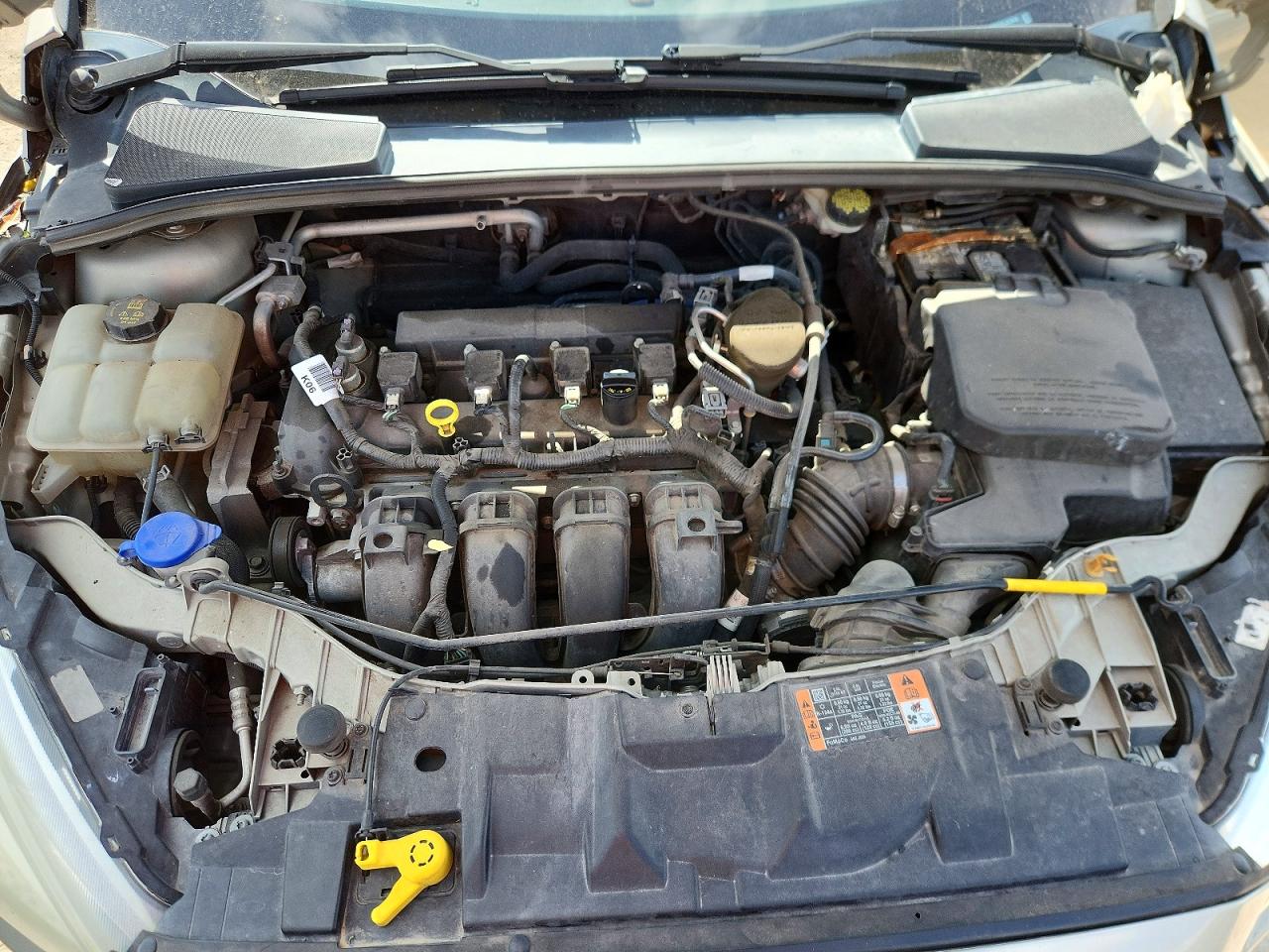 2015 Ford Focus Se Tan vin: 1FADP3F25FL323626