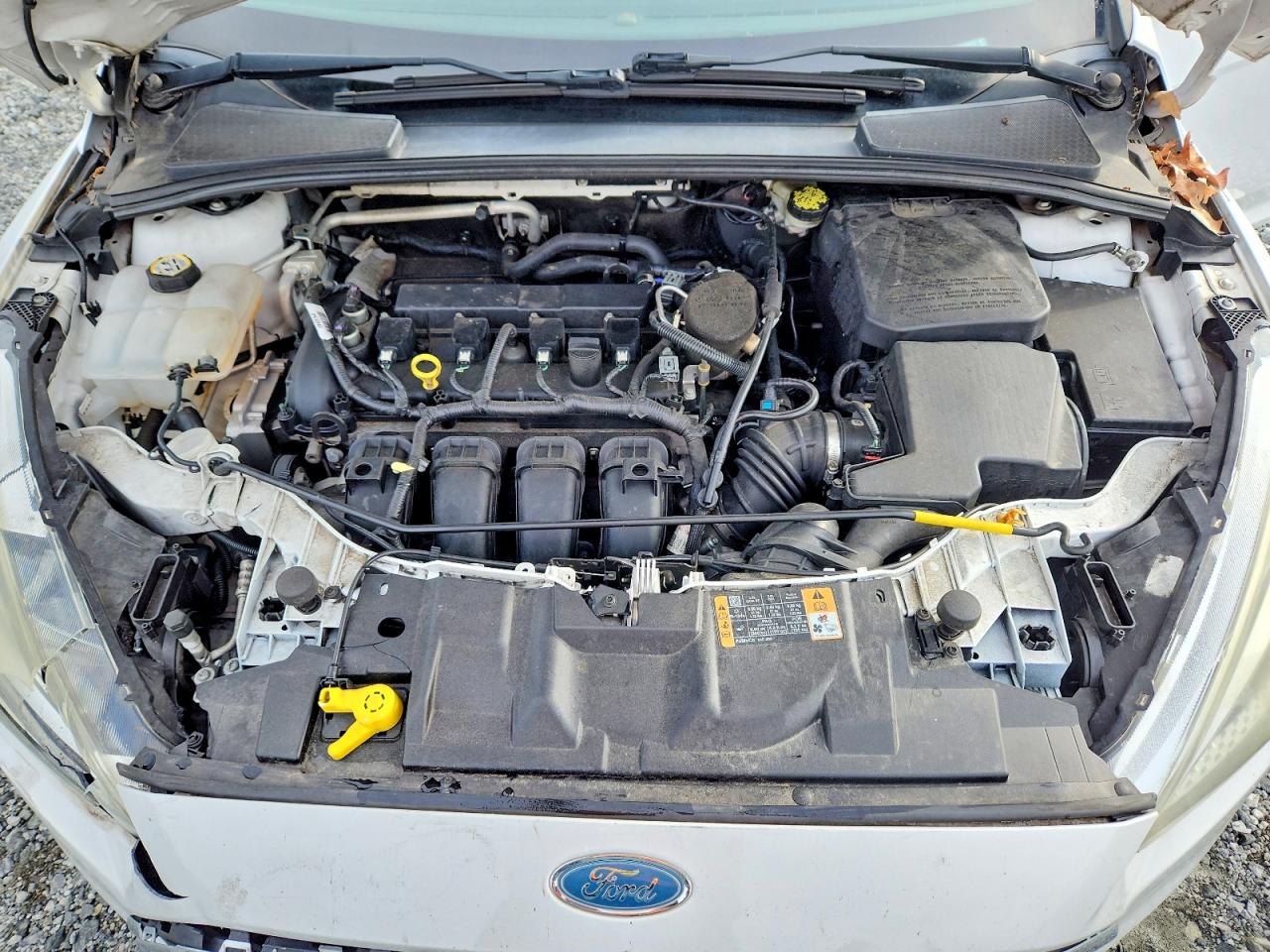 2015 Ford Focus Se White vin: 1FADP3F25FL343875