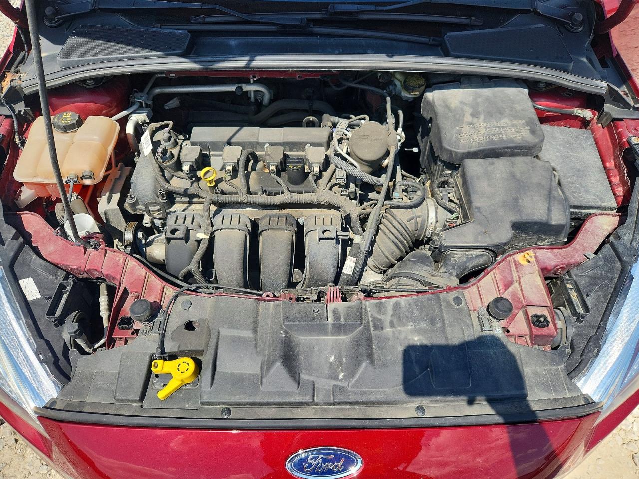 2016 Ford Focus Se Red vin: 1FADP3F25GL220627