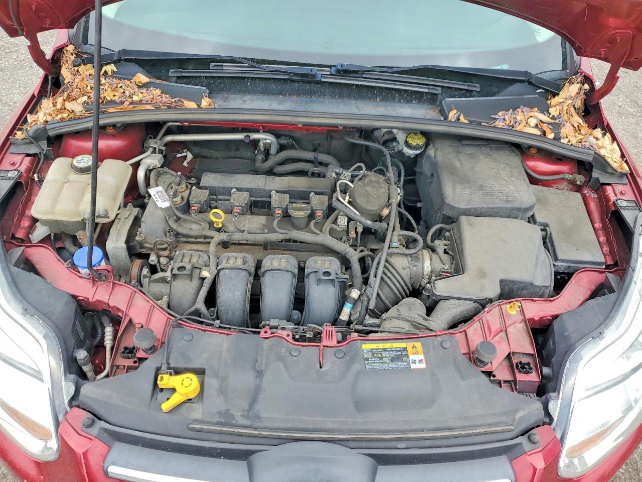 2013 Ford Focus Se Красный vin: 1FADP3F26DL110794