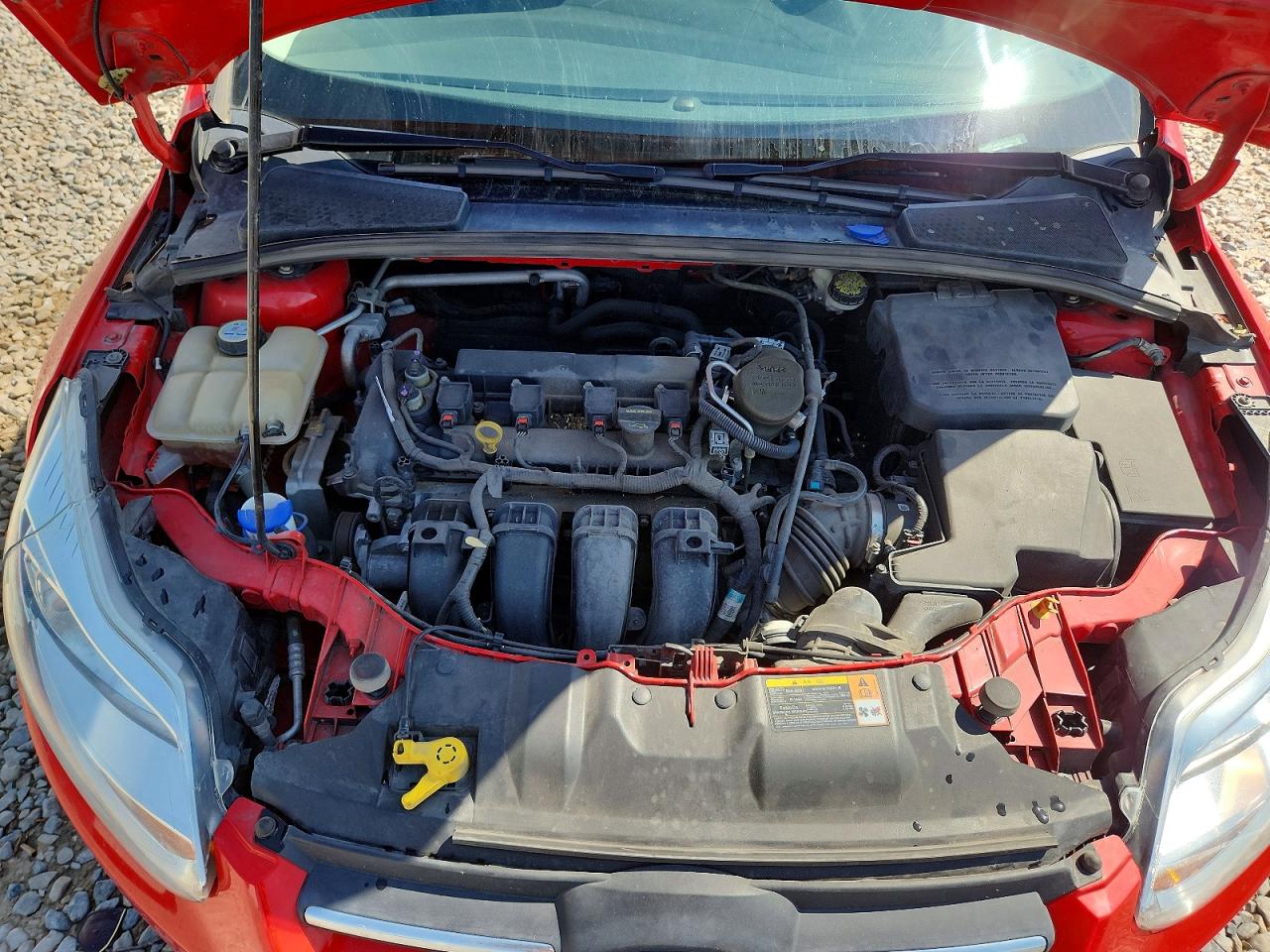 2013 Ford Focus Se Red vin: 1FADP3F26DL297972