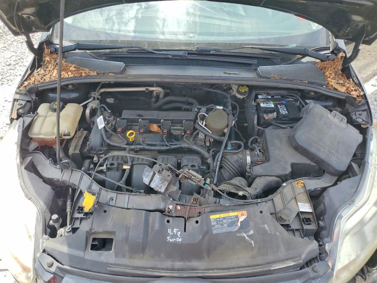 2014 Ford Focus Se Black vin: 1FADP3F26EL195394
