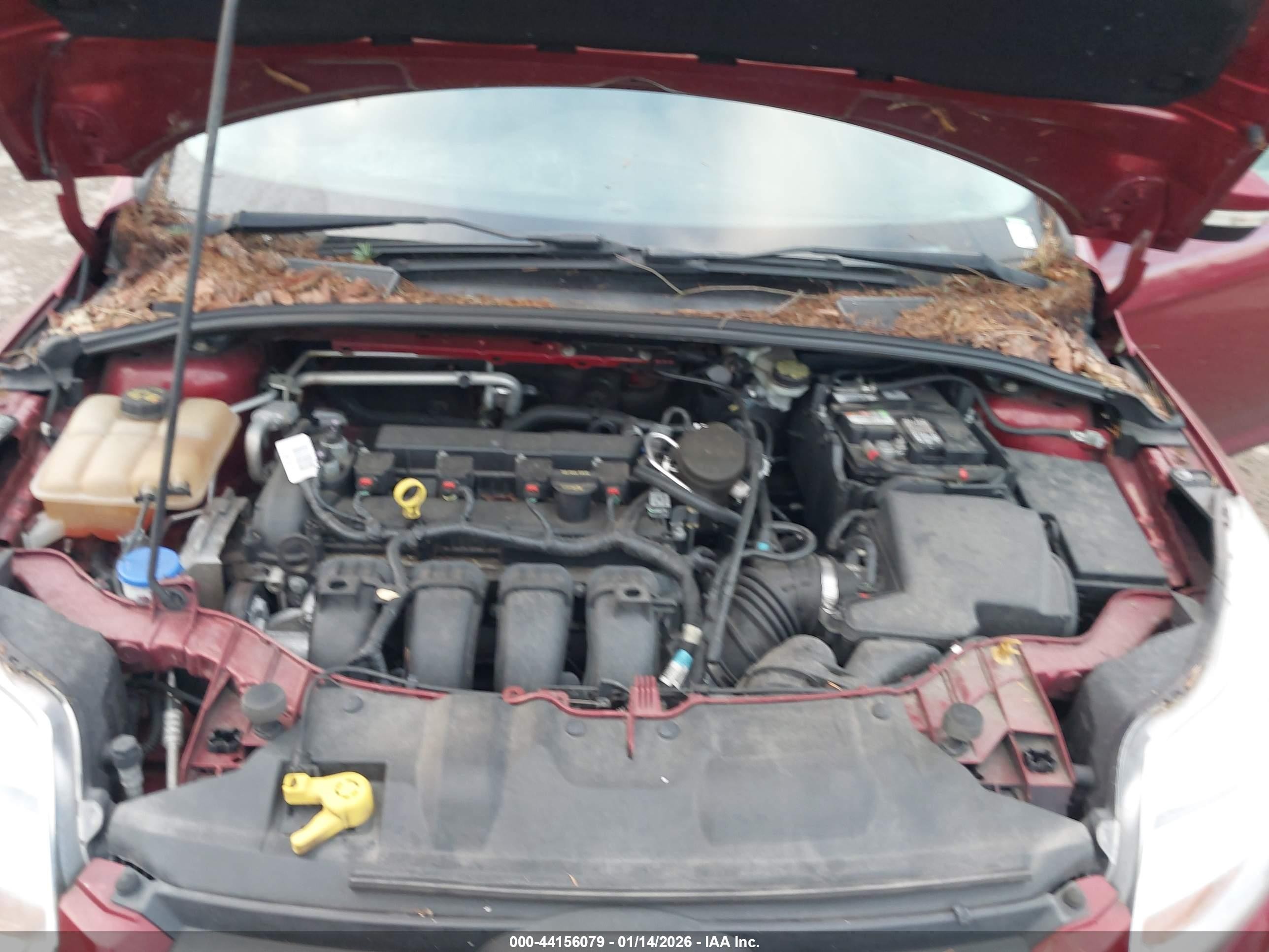 2014 Ford Focus Se Burgundy vin: 1FADP3F26EL238339