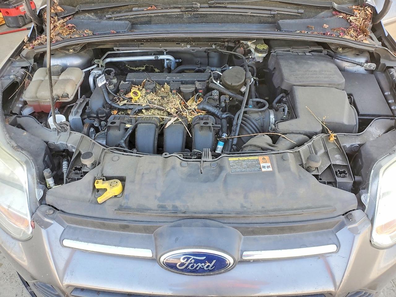 2014 Ford Focus Se Серый vin: 1FADP3F26EL265203