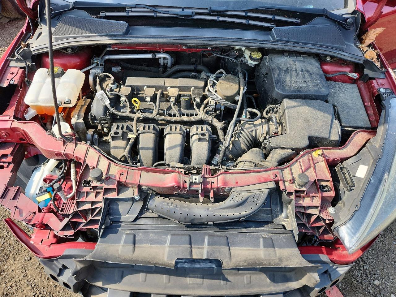2015 Ford Focus Se Бордовый vin: 1FADP3F26FL338166
