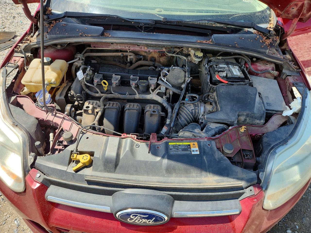 2013 Ford Focus Se Red vin: 1FADP3F27DL131671