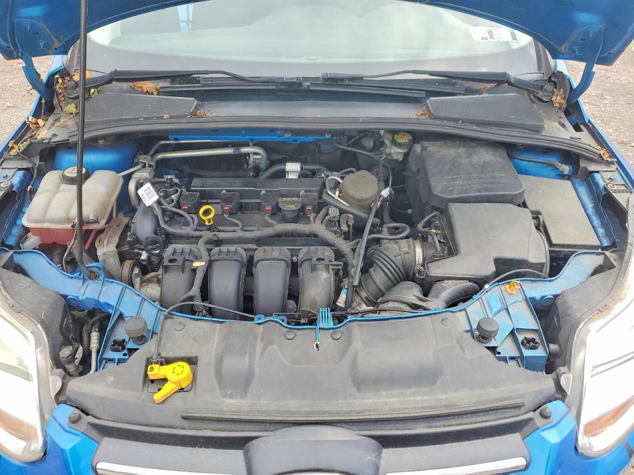 2013 Ford Focus Se Blue vin: 1FADP3F27DL180417