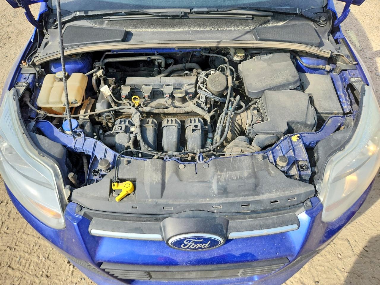 2013 Ford Focus Se Синий vin: 1FADP3F27DL248943