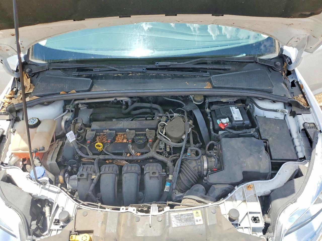 2013 Ford Focus Se White vin: 1FADP3F27DL289766