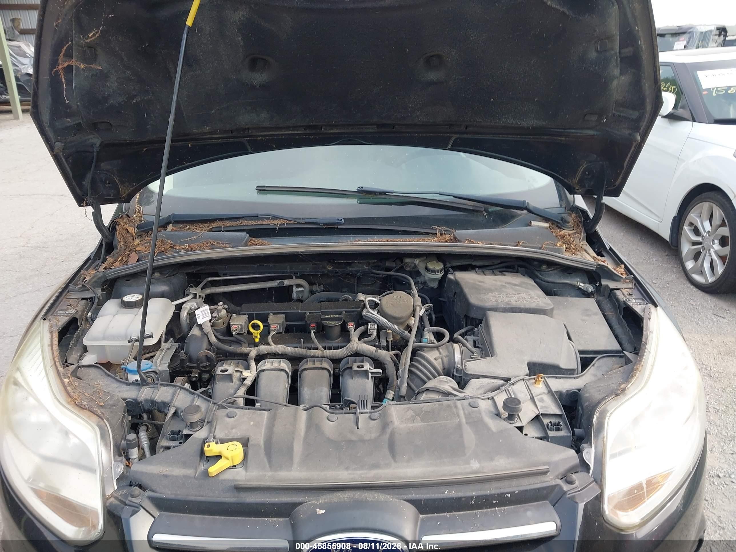 2013 Ford Focus Se Black vin: 1FADP3F27DL335290