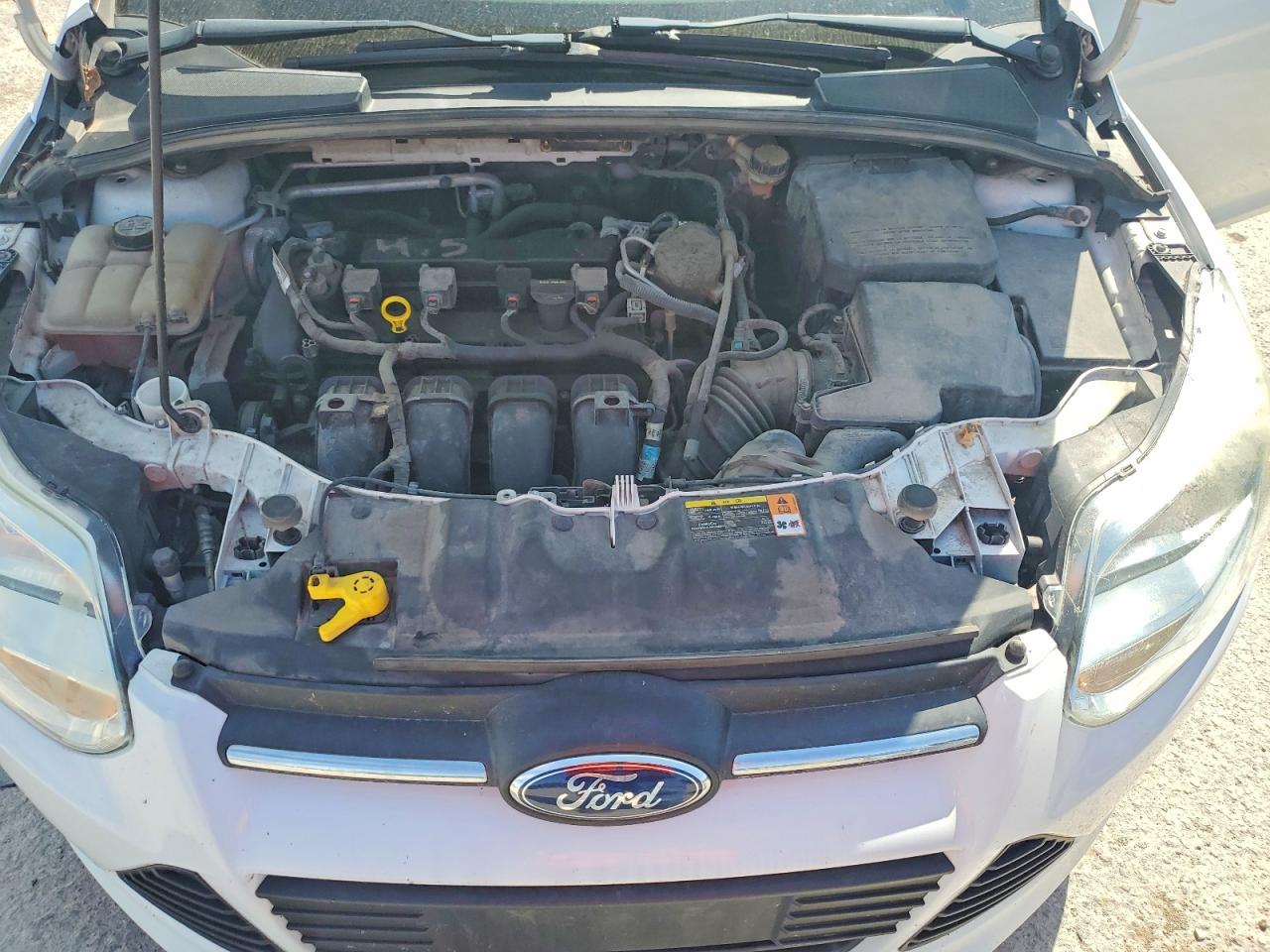 2013 Ford Focus Se Белый vin: 1FADP3F27DL361551