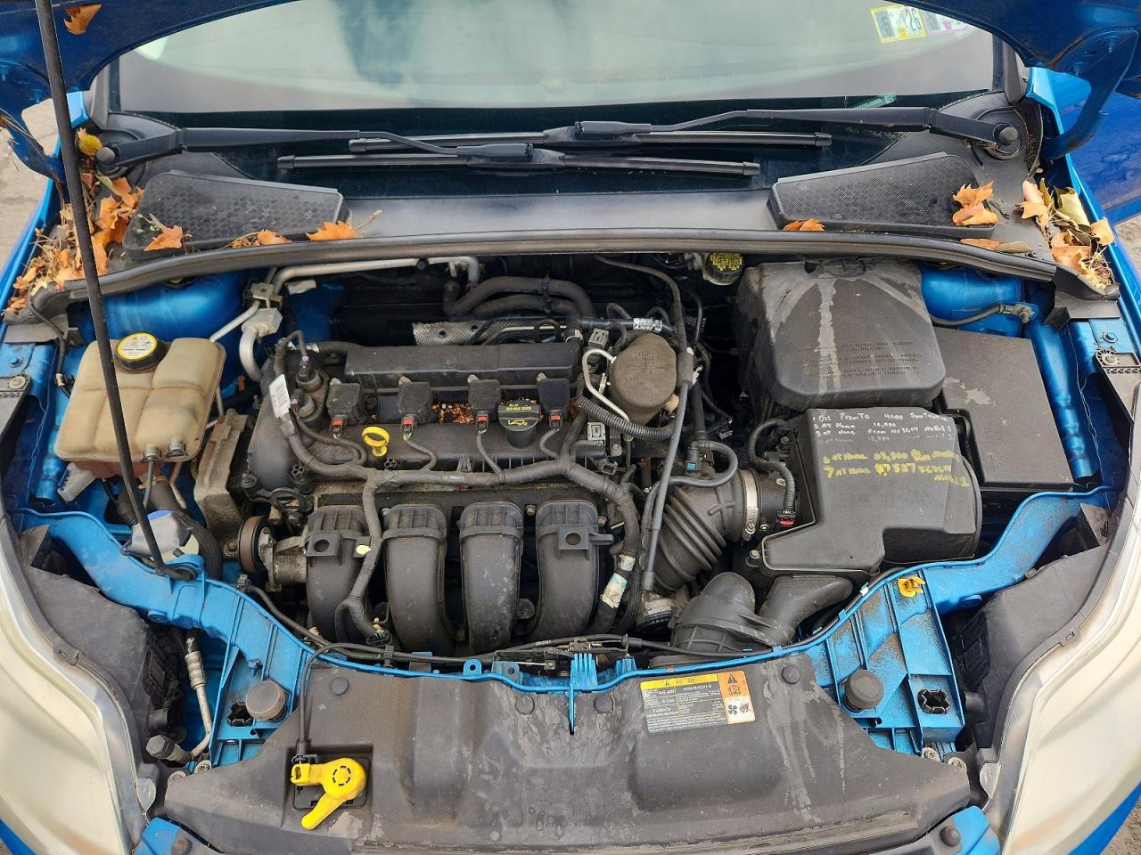 2014 Ford Focus Se Blue vin: 1FADP3F27EL120929