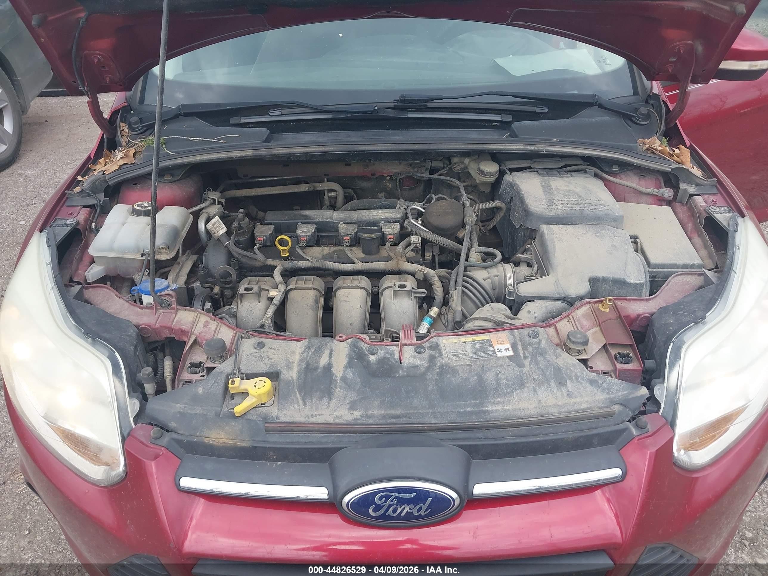 2014 Ford Focus Se Red vin: 1FADP3F27EL160248