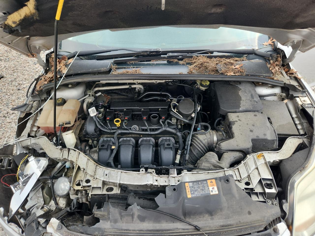 2014 Ford Focus Se Silver vin: 1FADP3F27EL334240