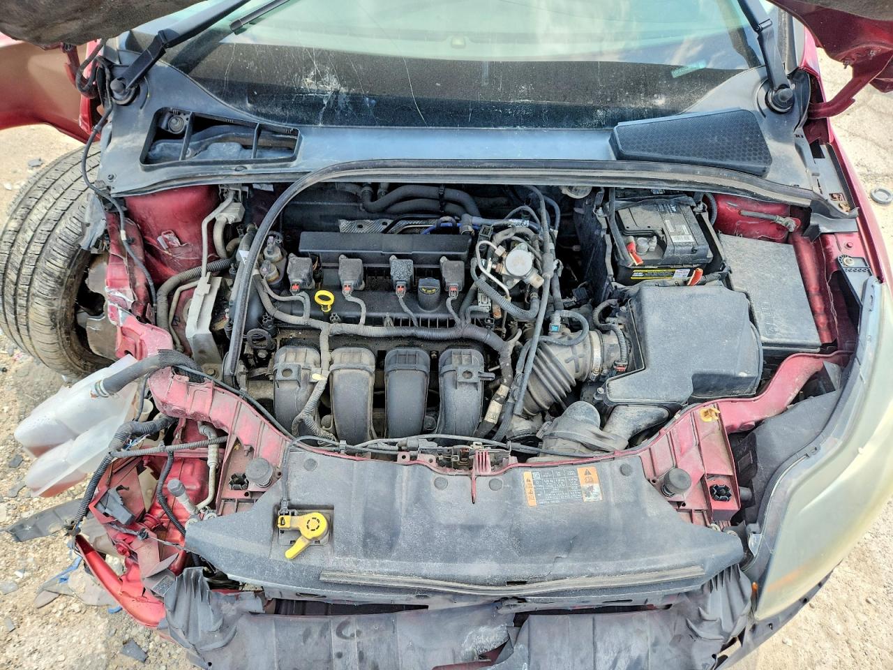 2014 Ford Focus Se Burgundy vin: 1FADP3F27EL397760