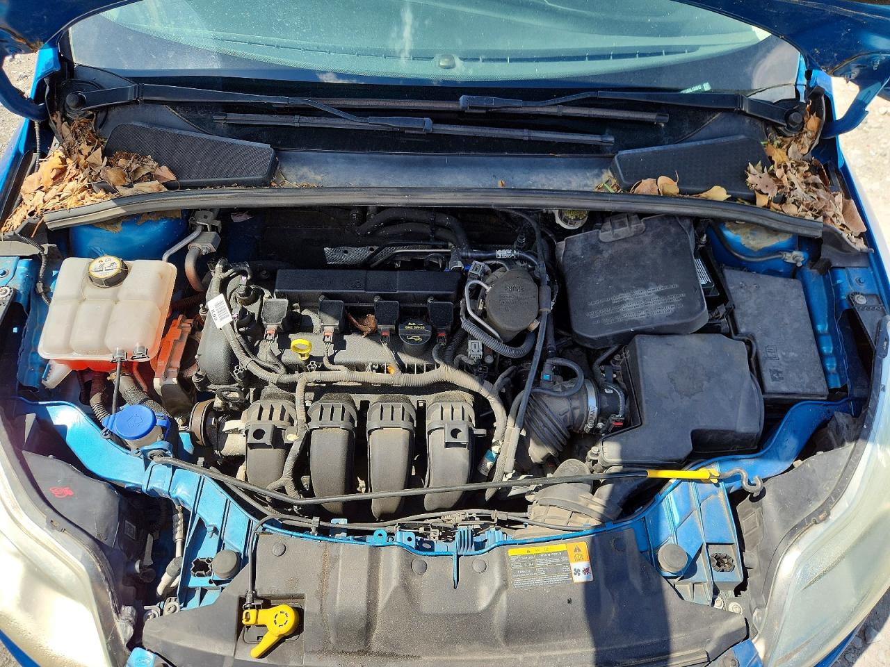 2013 Ford Focus Se Blue vin: 1FADP3F28DL133512