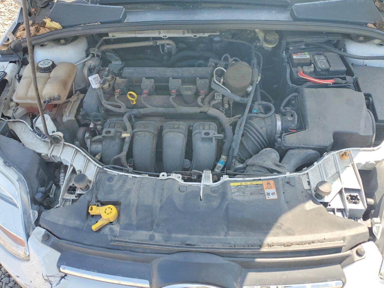 2013 Ford Focus Se Белый vin: 1FADP3F28DL240897