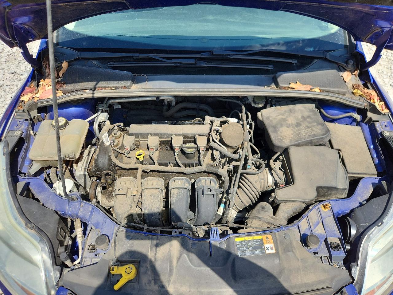 2013 Ford Focus Blue vin: 1FADP3F28DL306185