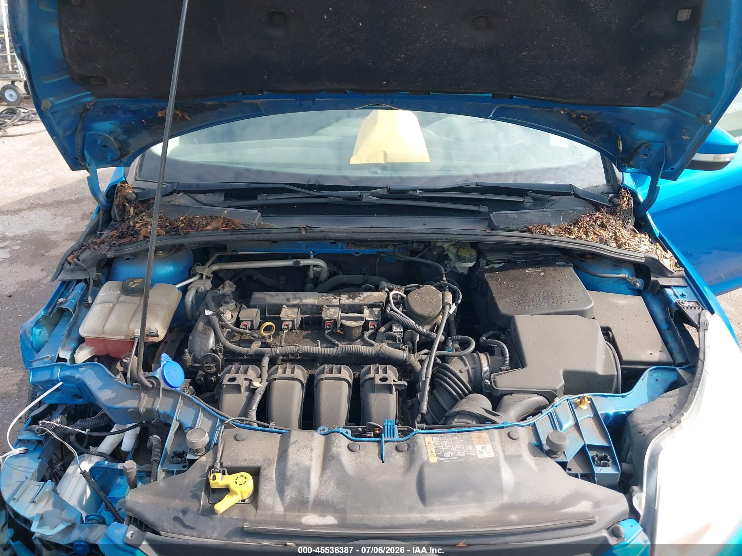 2014 Ford Focus Se Blue vin: 1FADP3F28EL269186
