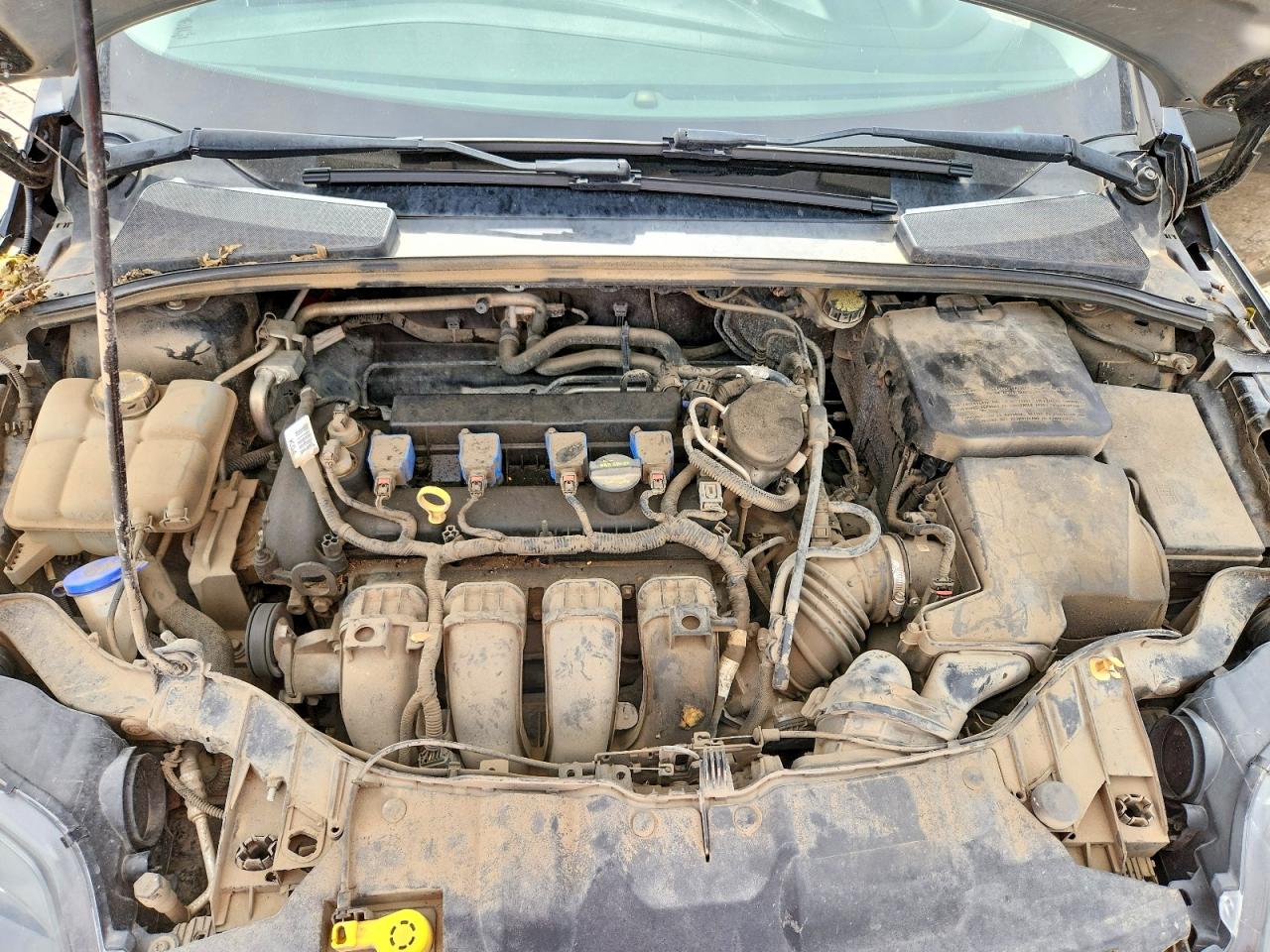2014 Ford Focus Se Black vin: 1FADP3F28EL300940