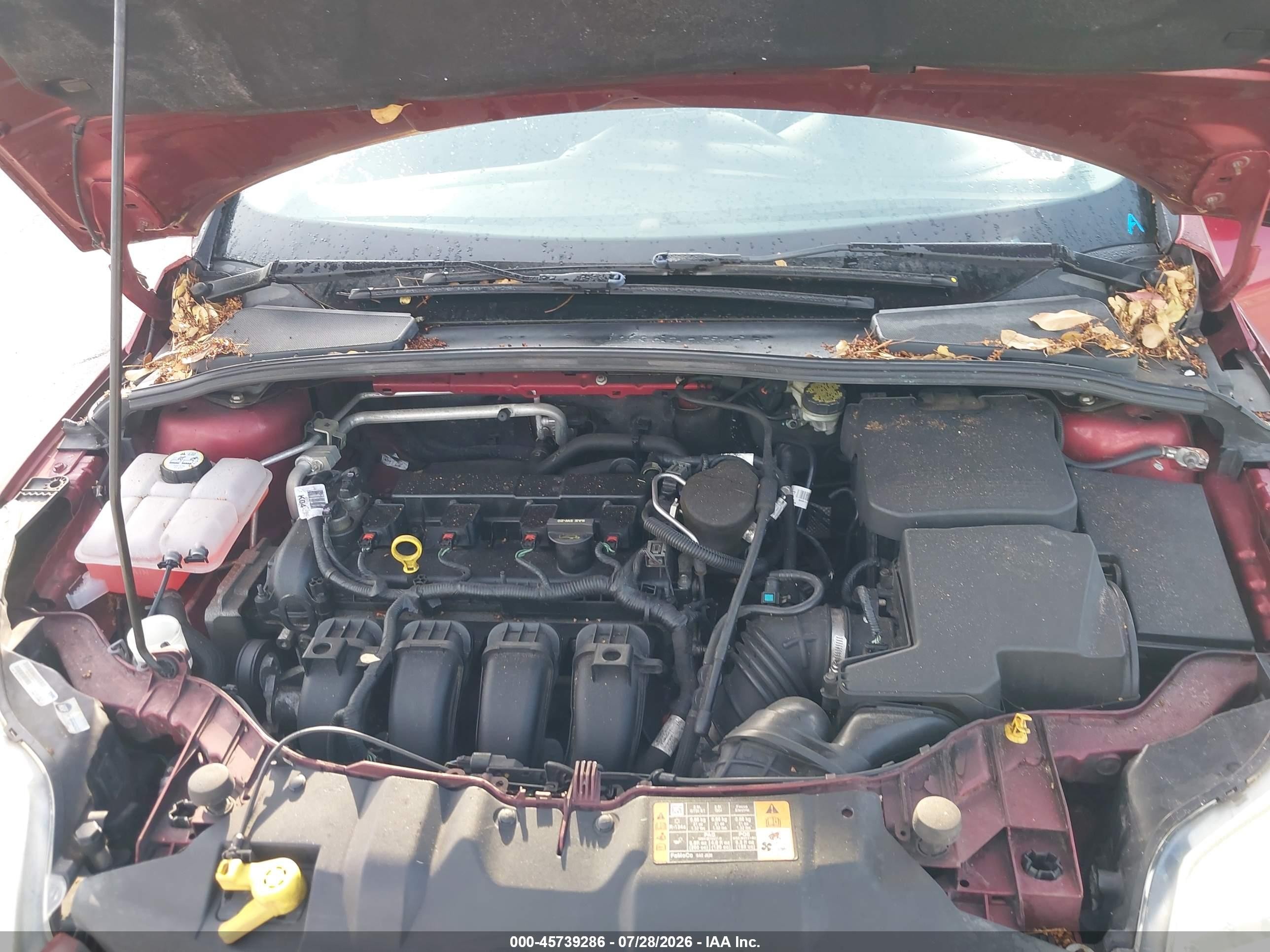2014 Ford Focus Se Red vin: 1FADP3F28EL331055