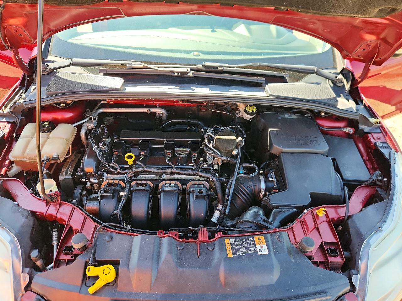 2014 Ford Focus Se Burgundy vin: 1FADP3F28EL355274