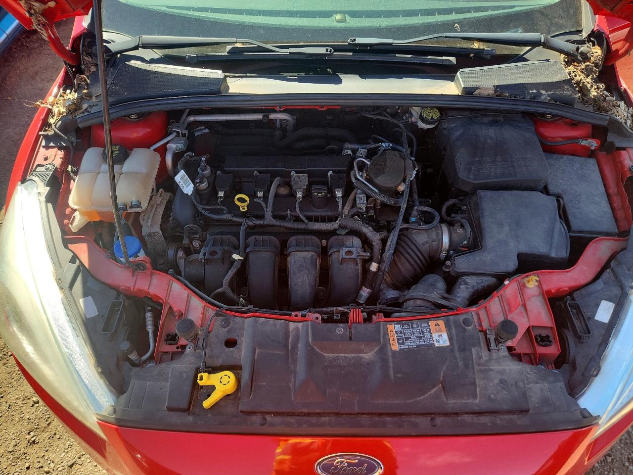 2015 Ford Focus Se Красный vin: 1FADP3F28FL342414